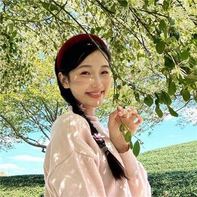 豪姬